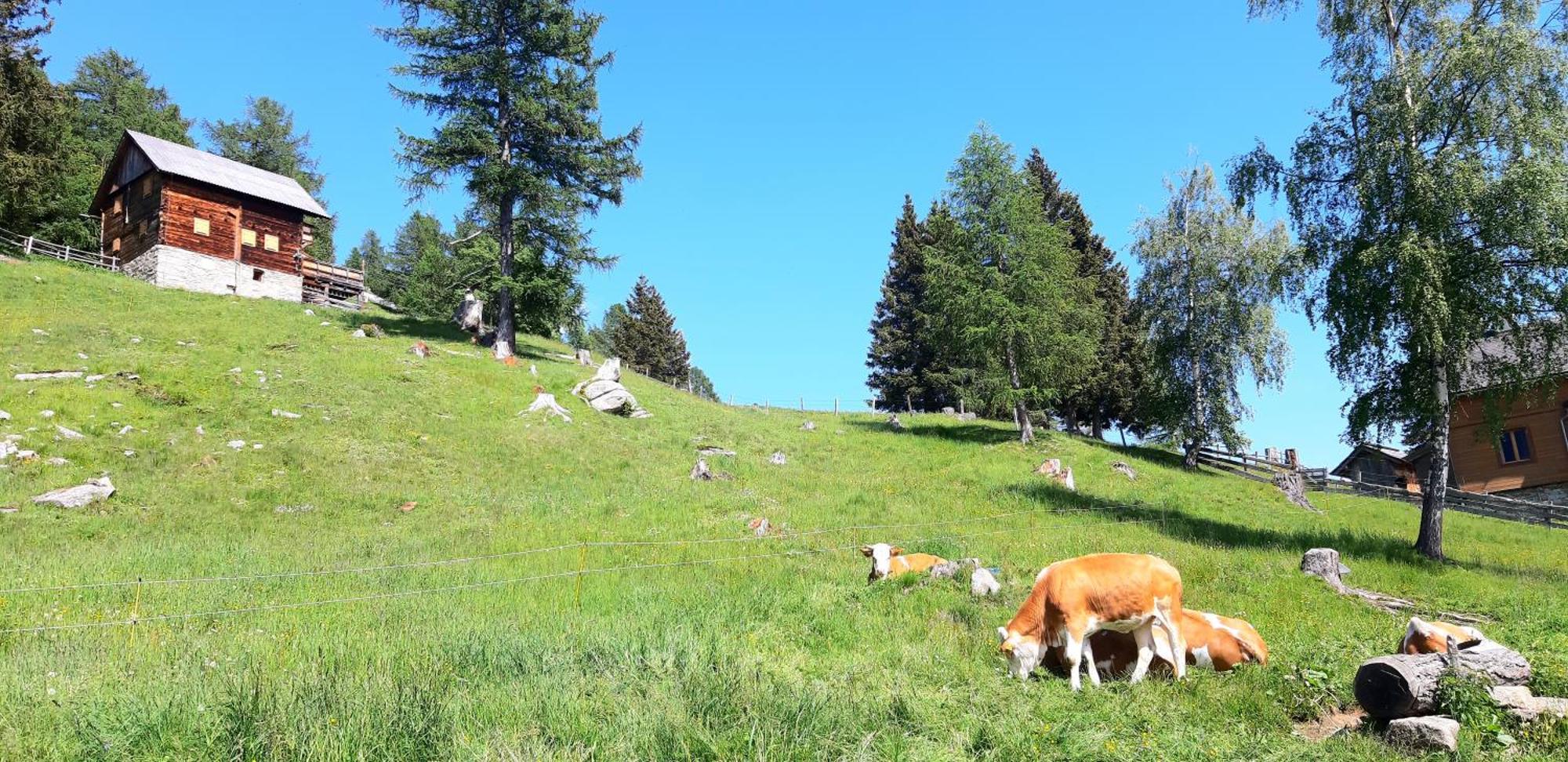 Panoramapension Platzer Unterkolbnitz Εξωτερικό φωτογραφία